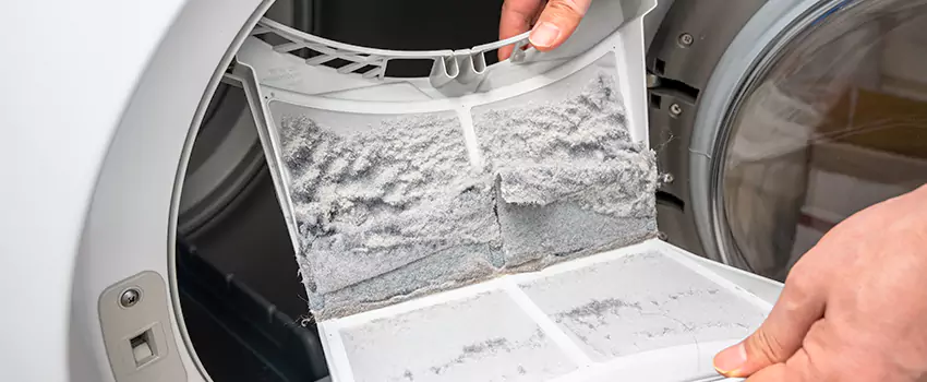 Best Dryer Lint Removal Company in Temescal Valley, California